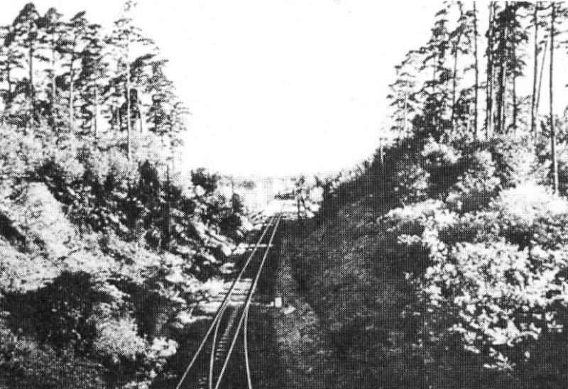 cm 14